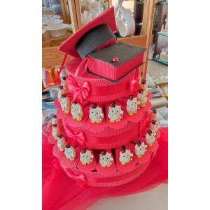 Bomboniera torta bomboniere gufo laurea